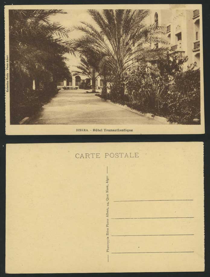 Algeria BISKRA Old Postcard HOTEL TRANSATLANTIQUE Trees
