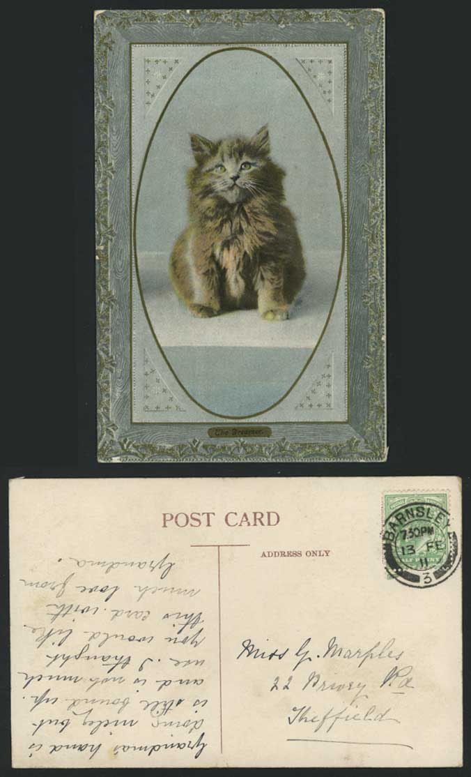 CAT KITTEN - THE DREAMER 1911 Old Postcard Pets