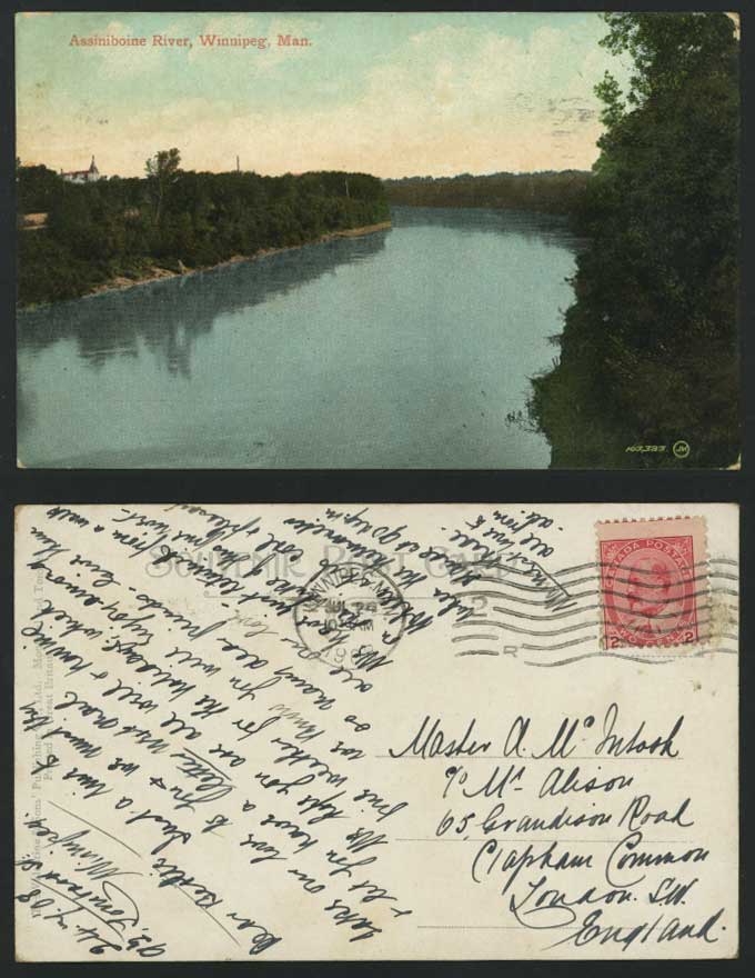 Canada 1908 Old Postcard Assiniboine River Winnipeg Man