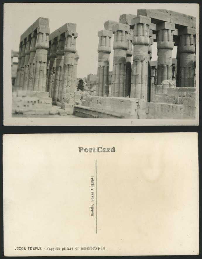 Egypt Old RP Postcard Luxor Temple Pillar Amenhotep III
