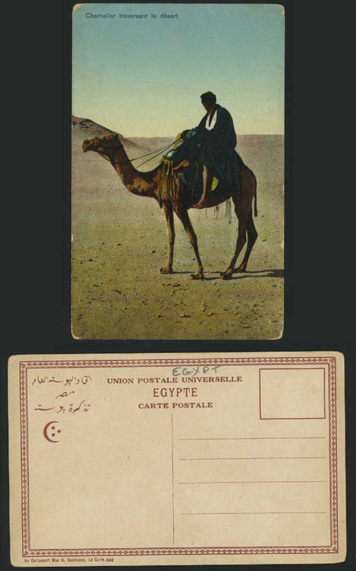 Egypt Old Postcard Chamelier traversant le Desert CAMEL