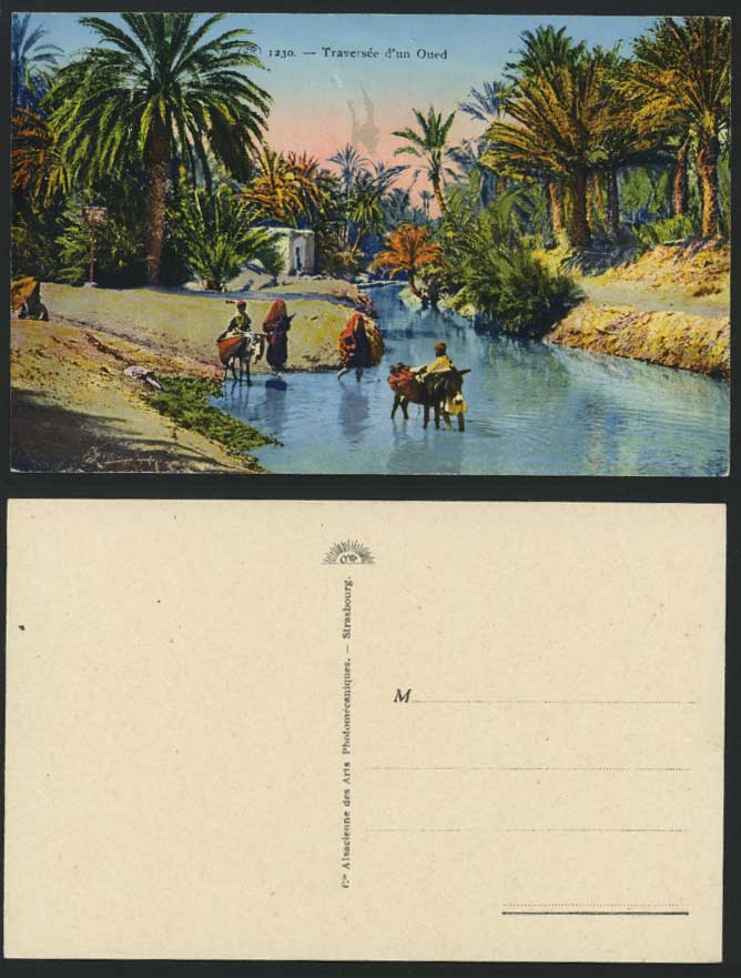Algeria Old Postcard Traversee d'un Oued Donkey & Palms