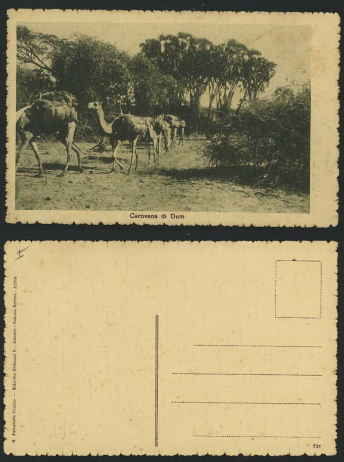 Eritrea Ethiopia Old Postcard Camels Camel Caravan, Dum