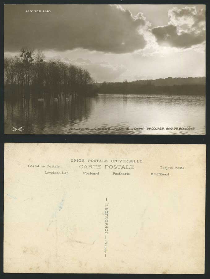 PARIS FLOOD 1910 Old Postcard Champ de Course Boulogne Swan