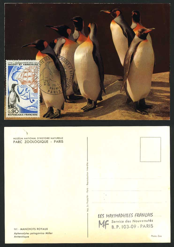 Antarctic PENGUINS Crozet e Kerguelen 1972 Old Postcard