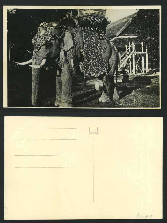 Singapore Old Real Photo Postcard Decorated ELEPHANT with Chair