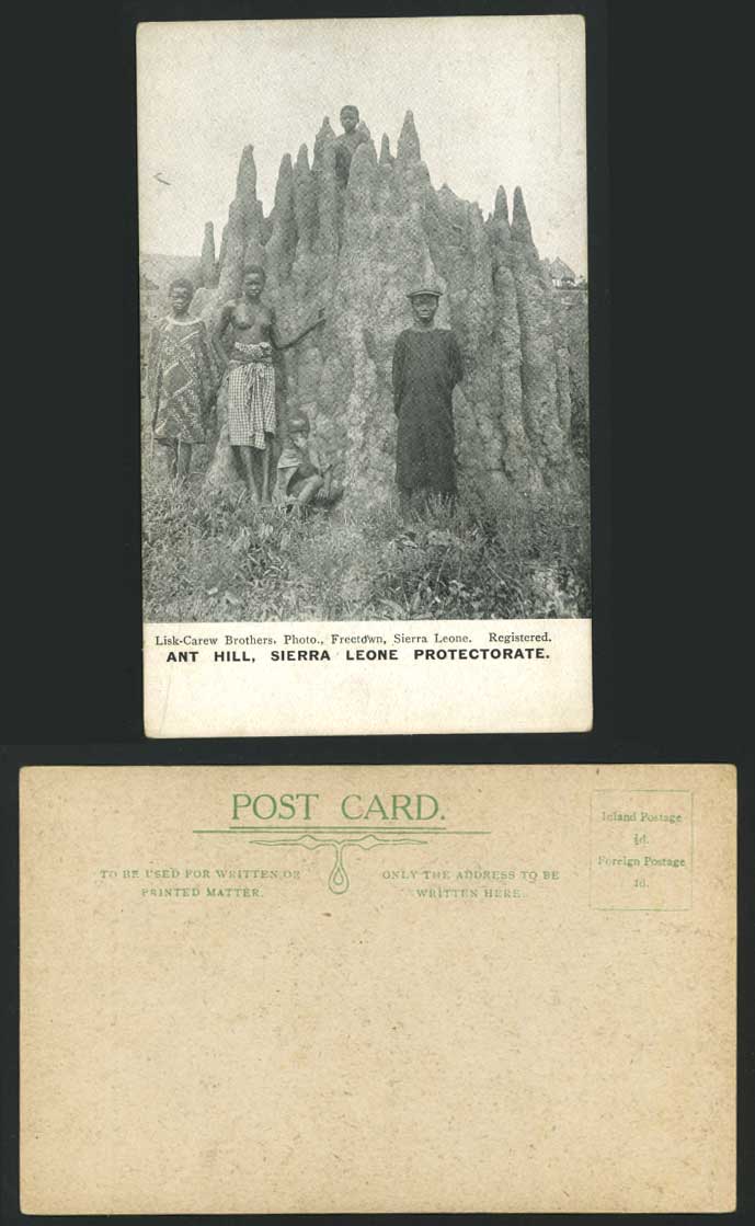 Sierra Leone Protectorate Old Postcard ANT HILL, A Large Anthill Native Children