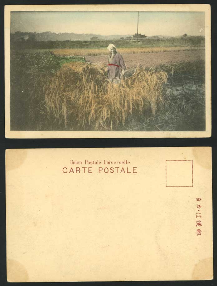 Japan Old Hand Tinted UB Postcard Farm Woman in Fields