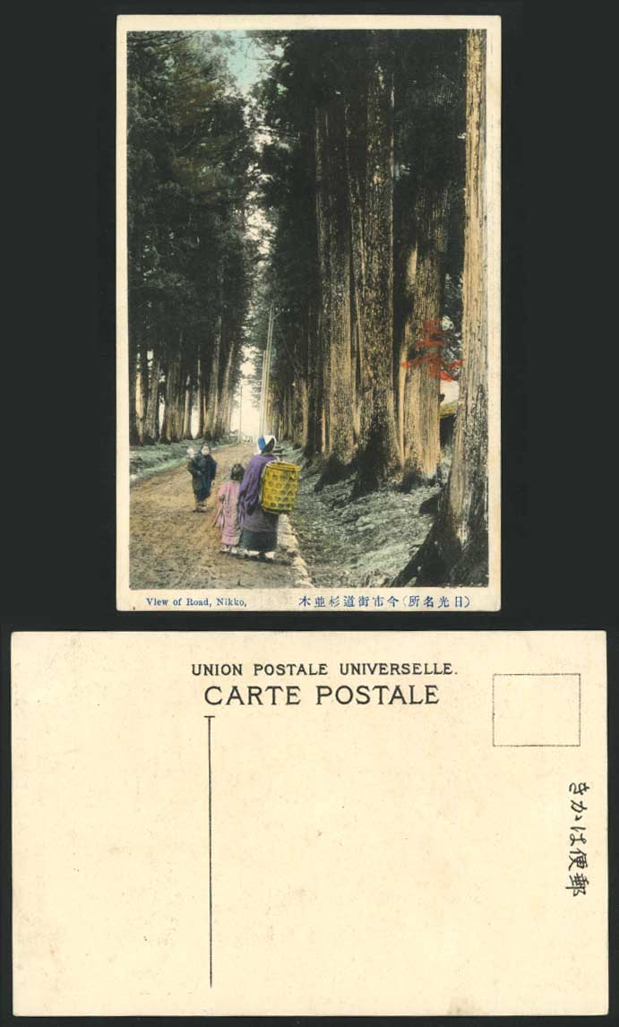 Japan Old H. Tinted Postcard Fir Cryptomeria Road Nikko