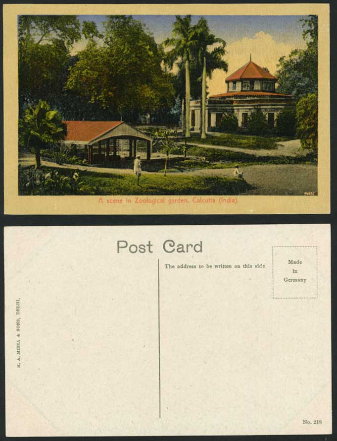 India Old Postcard Zoo Zoological Gardens Tree Calcutta