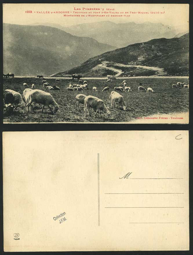 Andorra Old Postcard SHEEP Grazing Pont d'En-Valira Fray-Miquel, Hospitalet Plan