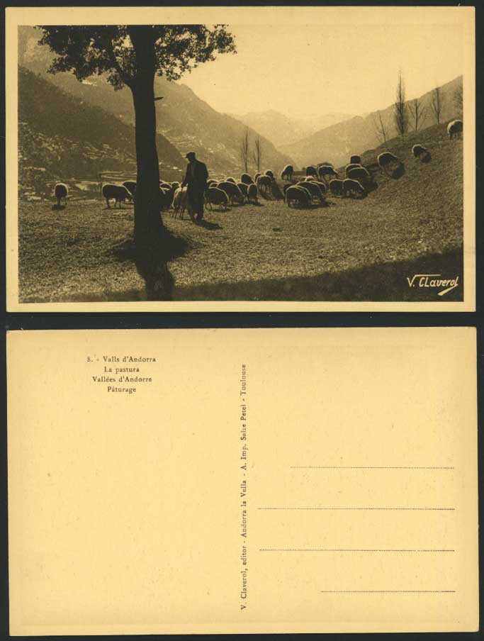 Andorra Old Postcard SHEEP & SHEPHERD Pastura Pasturage