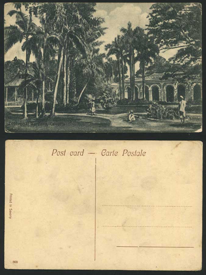 India Old Postcard Palm Zoo Zoological Gardens Calcutta