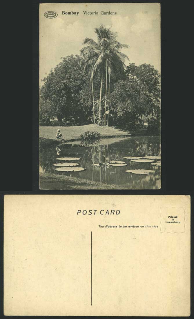 India Old Postcard VICTORIA GARDENS Waterlily Pond Lake