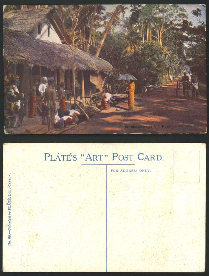 Ceylon Old Colour Postcard Rural Street Scene, Boralesgamuwa Colombo