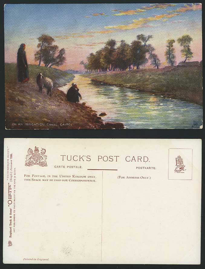 Egypt Old Tuck's Postcard Sheep On an Irrigation Canal, Cairo Caire Artist Drawn