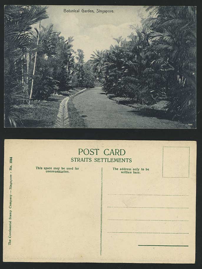 Singapore Old Postcard Botanical Garden Botanic Gardens