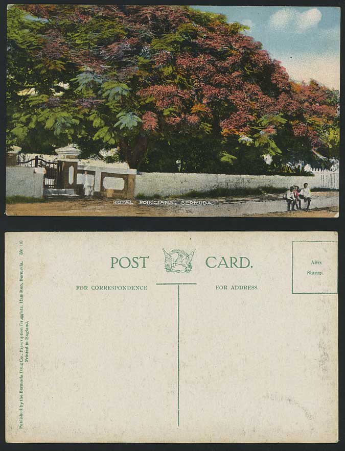 Bermuda Old Colour Postcard Royal Poinciana Tree Entrance Gate