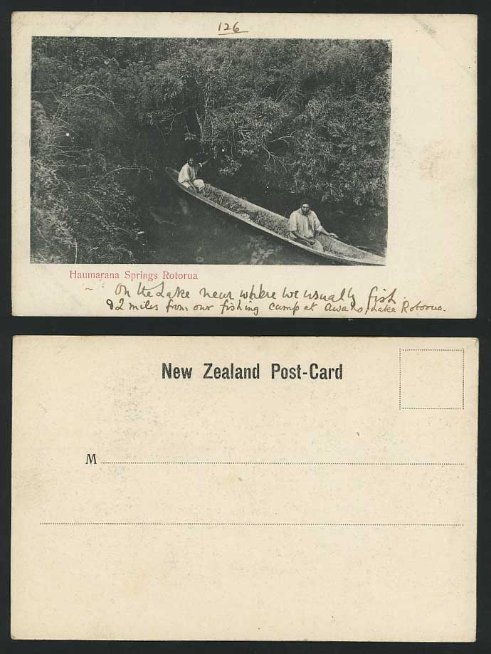 New Zealand 1904 Old Postcard HAUMARANA SPRINGS ROTORUA