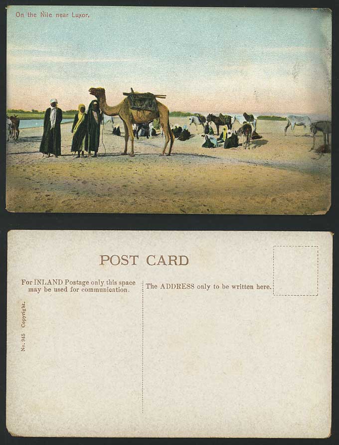 Egypt Old Postcard On Nile River nr. Luxor Camel Donkey