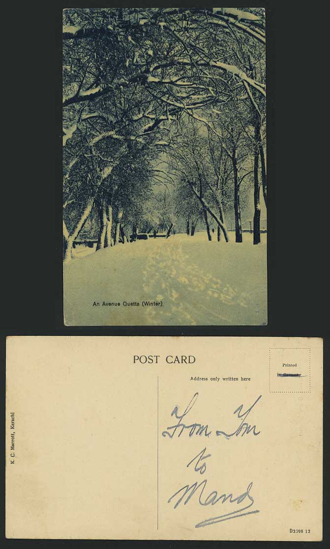 Pakistan Old Postcard AN AVENUE - QUETTA in Winter Snow
