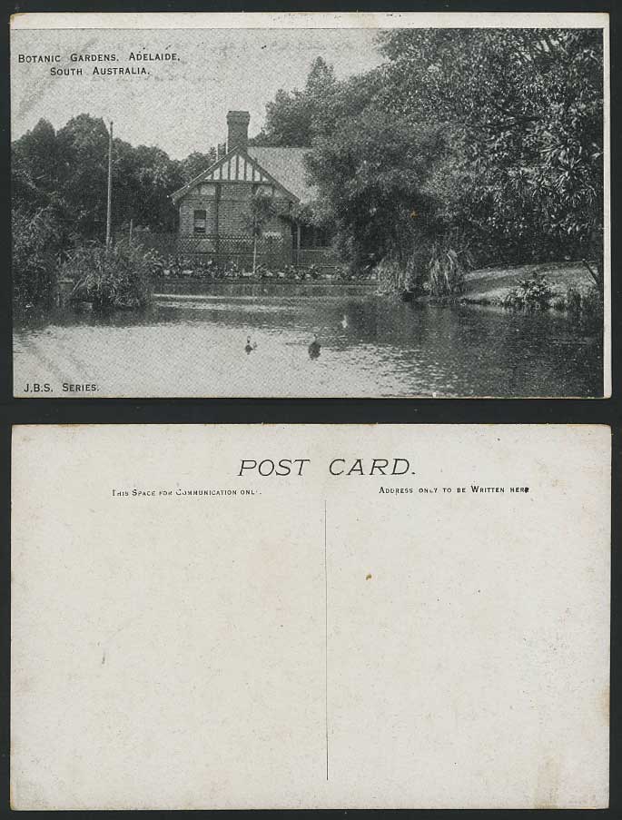 Australia Old Postcard Adelaide Lake in Botanic Gardens Botanical Garden