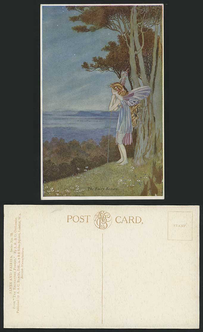 I R & G OUTHWAITE Old Postcard FAIRY BEAUTY, Elves Fairies Artist Drawn