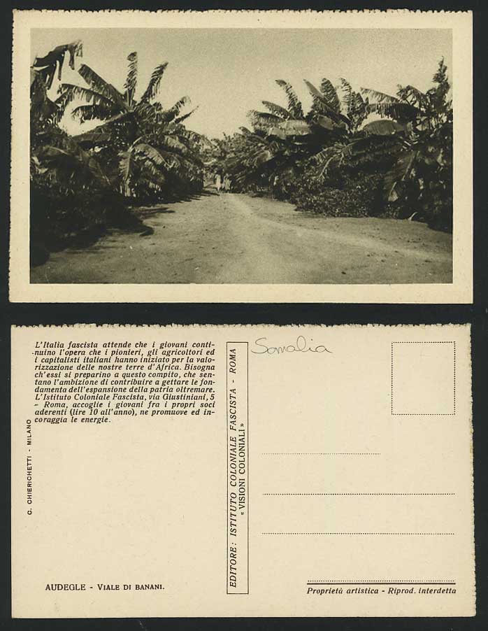 Somalia Old Postcard Audegle Viale di Banani Trees Ave.