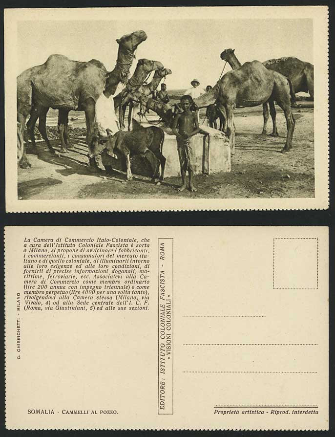 Somalia Old Postcard Cammelli al Pozzo Camels Calf, Boy