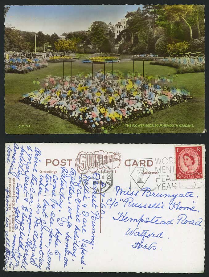 Bournemouth Gardens Flower Beds 1960 RP Postcard Dorset