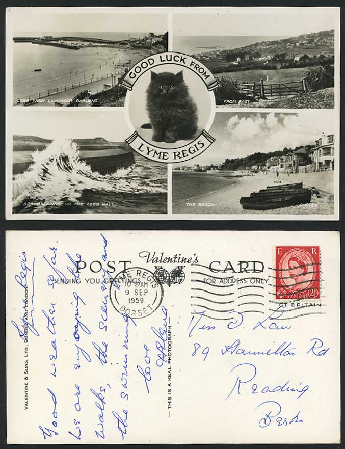 LYME REGIS 1959 Postcard Cat Kitten Beach Cobb Wall Sea