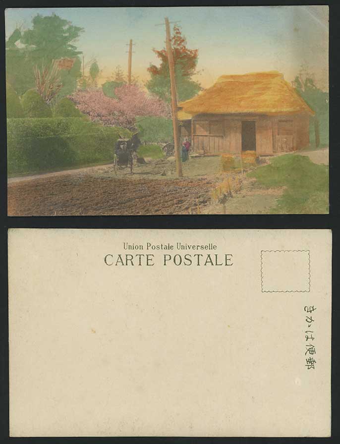 Japan Old Tinted Postcard Cherry Blossom Hut & Rickshaw