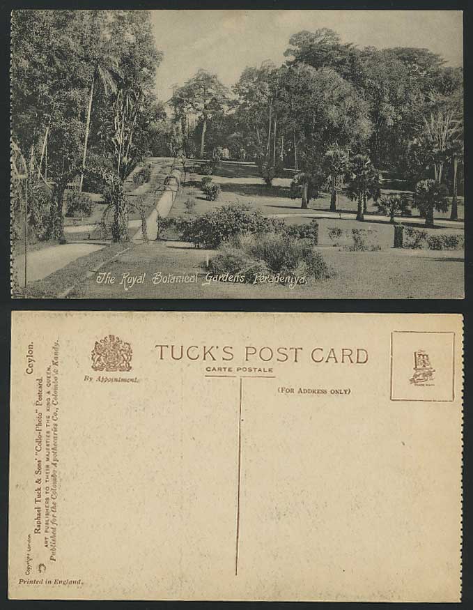Ceylon Old Postcard Peradeniya, Royal Botanical Gardens