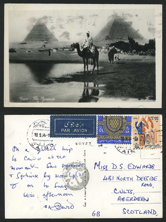 Egypt 1954 RP Postcard Cairo Camel Sphinx Giza Pyramids