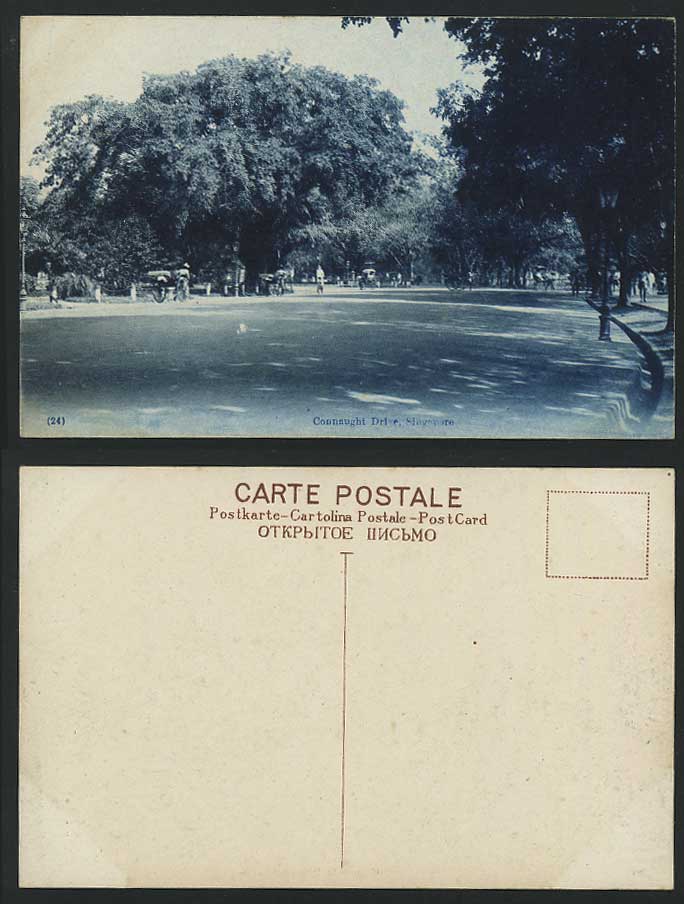 Singapore Old Postcard The Connaught Drive - Street Scene - Malaya Malay