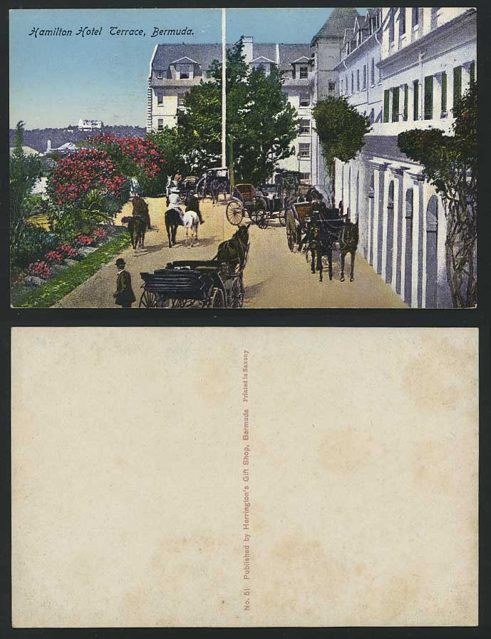 Bermuda Old Colour Postcard Hamilton Hotel Terrace Horses Cart