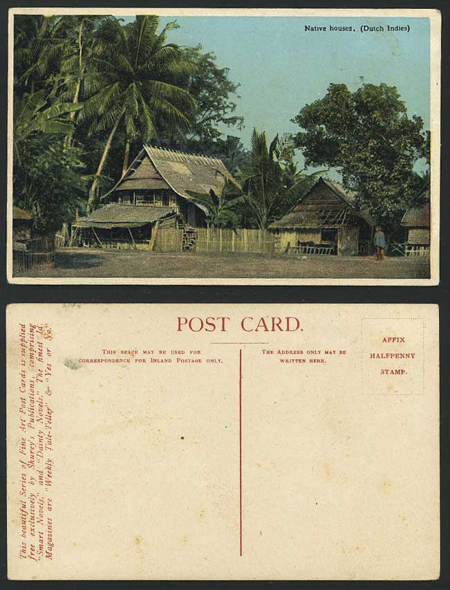 Dutch Indies Old Postcard Native Houses Huts Palm Trees