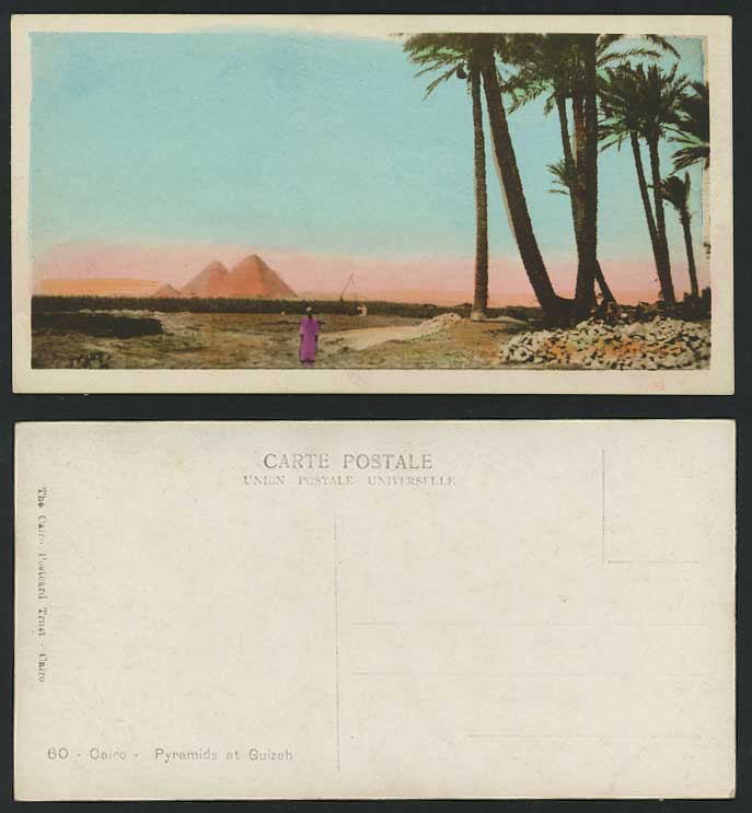 Egypt Old Postcard Cairo Pyramids Guizeh Giza Palm Tree