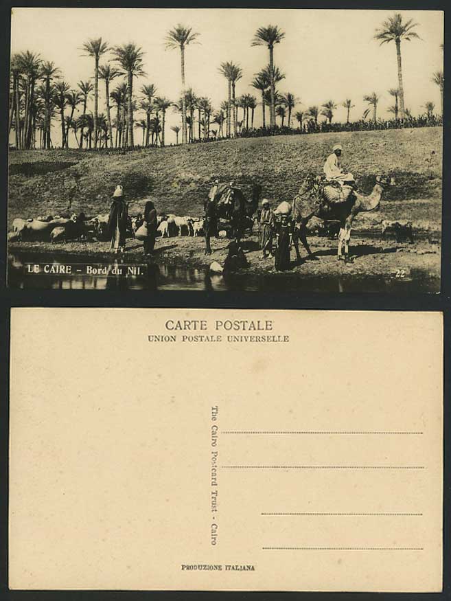 Egypt Old Postcard Cairo Nile River, Camels Women SHEEP