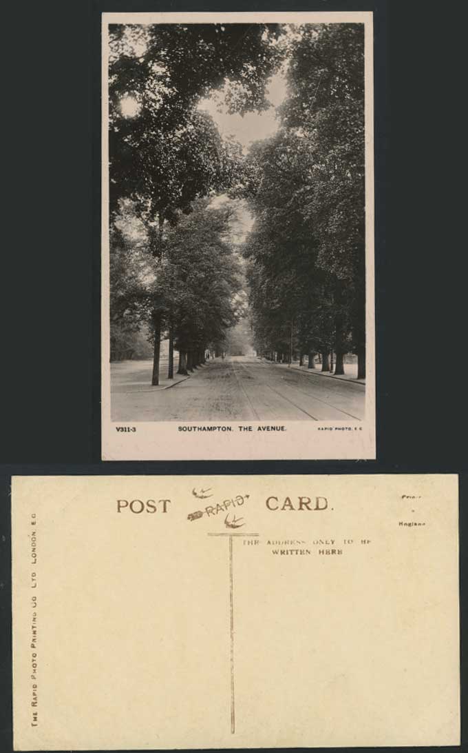 Southampton Old RP Postcard THE AVENUE Tree-Lined Street Scene Trees Hampshire