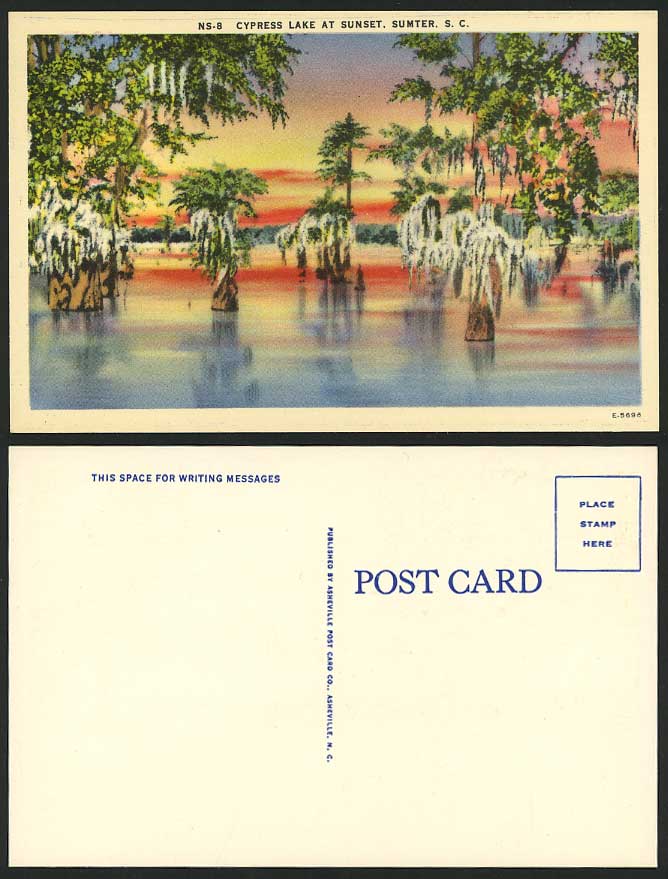 USA Old Colour Postcard CYPRESS LAKE Sunset SUMTER S.C.
