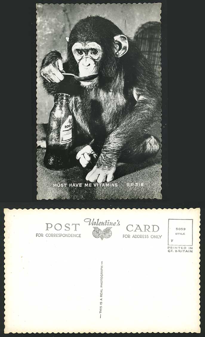 CHIMPANZEE Monkey Must have me Vitamins Old RP Postcard