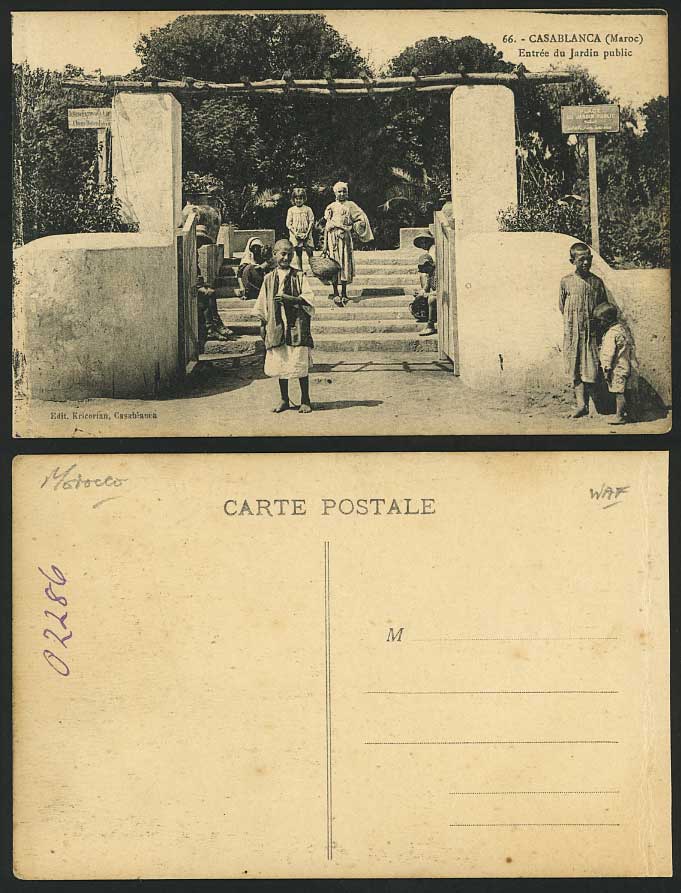Casablanca Old Postcard Jardin Public Garden Steps Boys