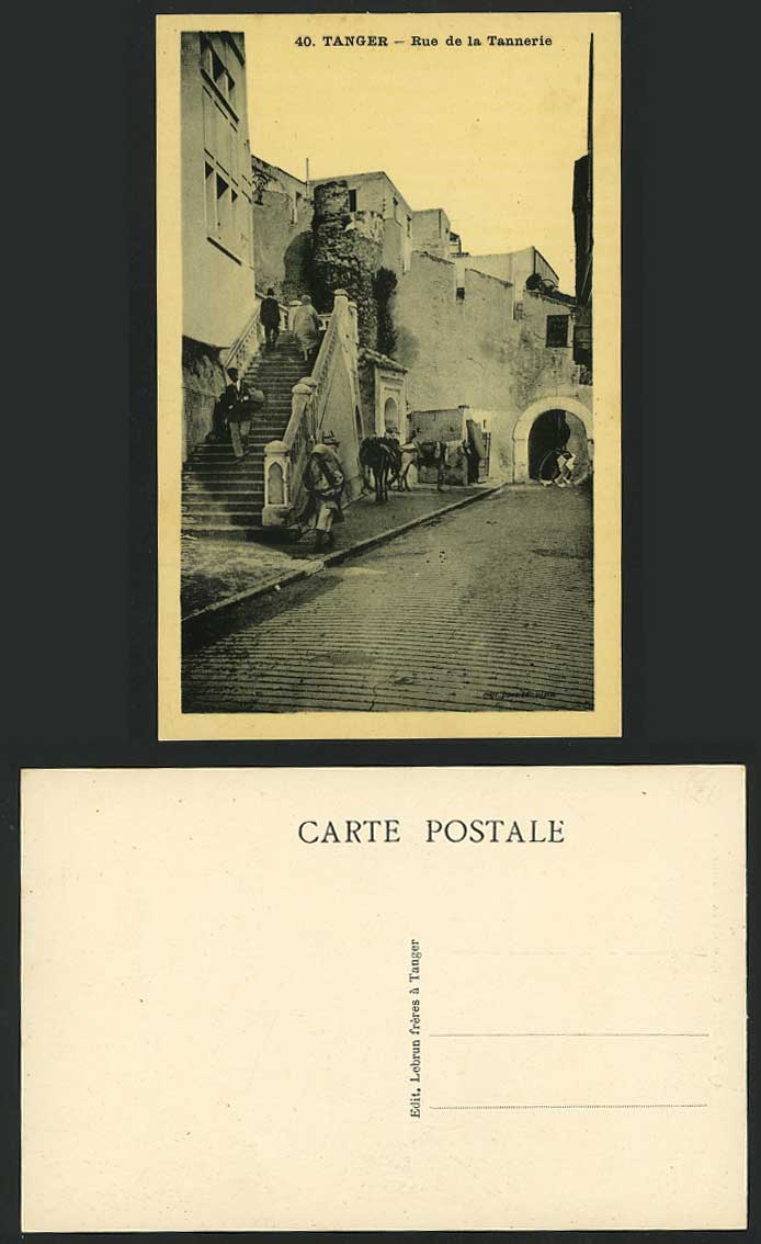 Morocco Old Postcard Tanger Rue de la Tannerie & Horses