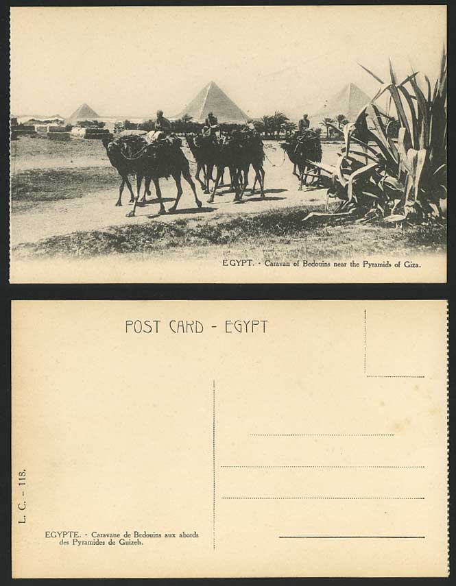 Egypt Old Postcard Bedouins Camel Caravan GIZA PYRAMIDS Camels