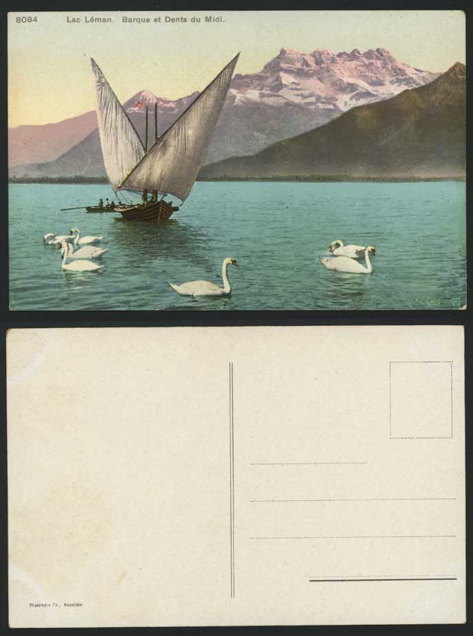 Dents du Midi Barque Boats Swans Lac Leman Old Postcard