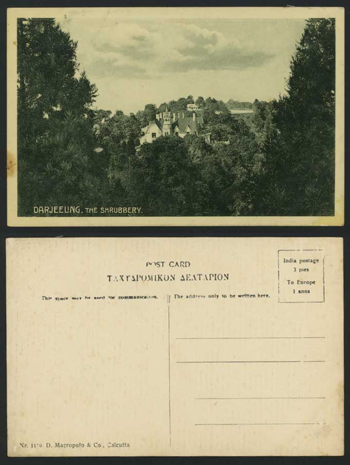 India British Indian Old Postcard DARJEELING THE SHRUBBERY Panorama