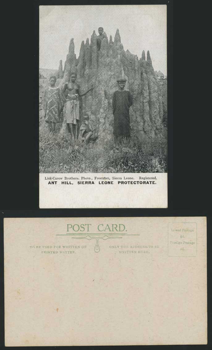 Sierra Leone Old Postcard ANT HILL Anthill, Native Children Black Girl Woman Boy