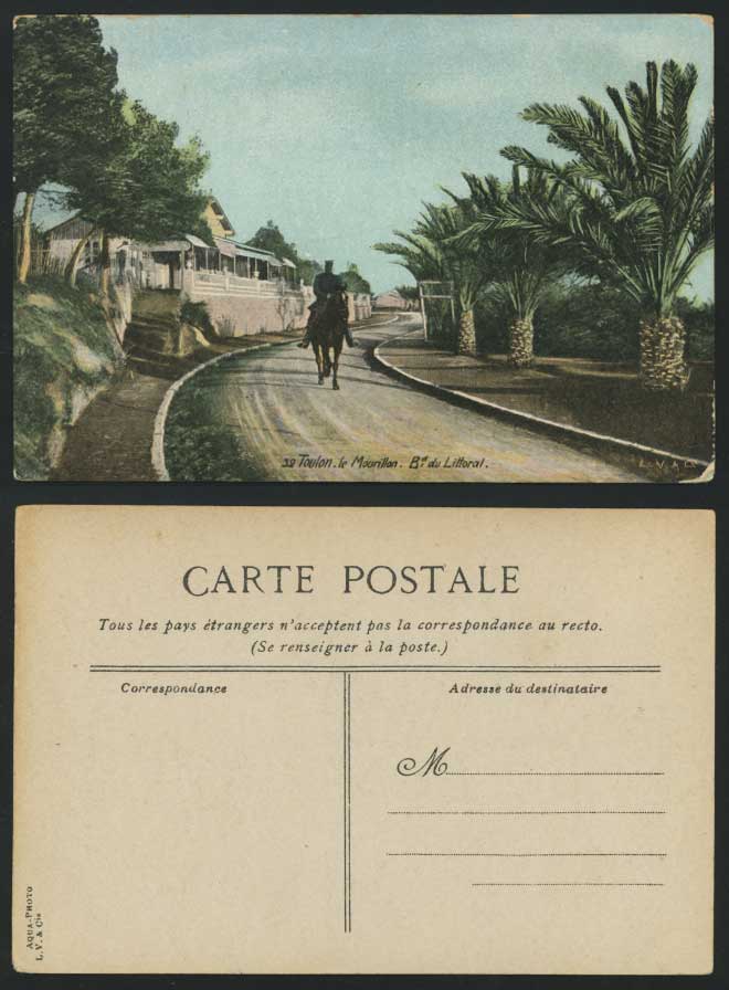 TOULON Old Postcard Mourillon Boulevard Littoral, Horse