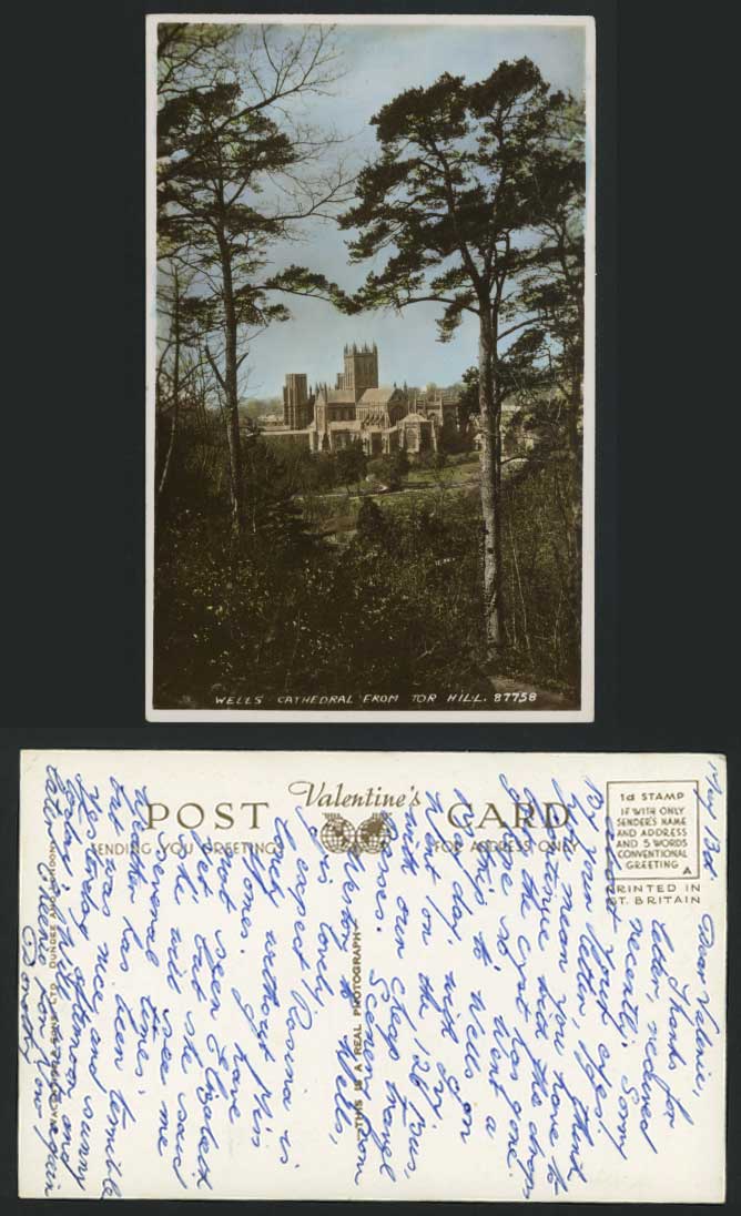 WELLS CATHEDRAL from TOR HILL, Somerset Old RP Postcard